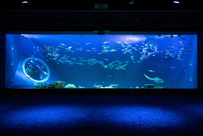 DMMかりゆし水族館様施設内画像