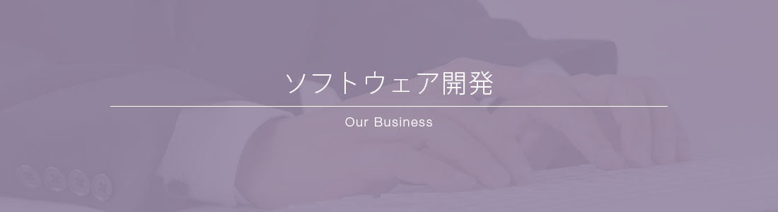 ソフトウェア開発