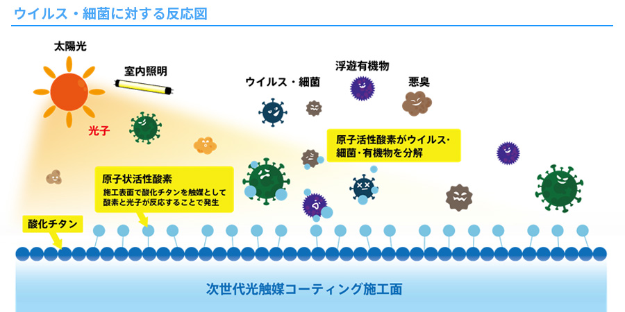 ウイルス・最近に対する反応図