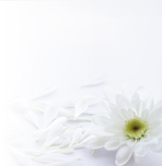 葬式の供花や供物の自動精算ができる葬儀場自動精算機システム