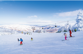 スキー場・スケート場